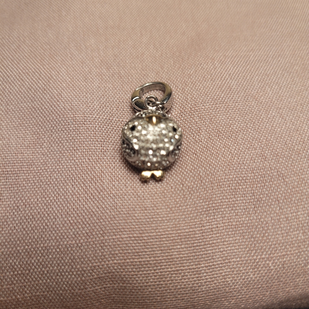 Fossil penguin charm